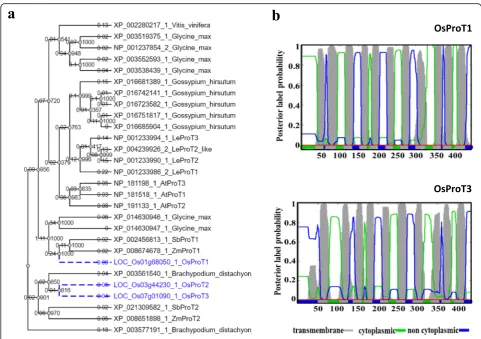 Fig. 1 Phylogenetic analysis and prediction of transmembrane helices for OsProT1 and OsProT3