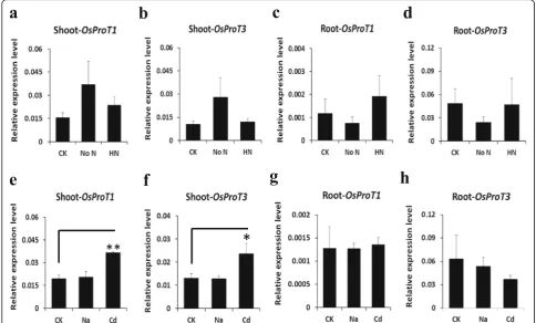 Fig. 7 Expression levels of OsProTs in response to different abiotic stresses. a-d, OsProT1 (a, c) and OsProT3 (b, d) transcript levels in response tonitrogen deficiency or high nitrogen treatment