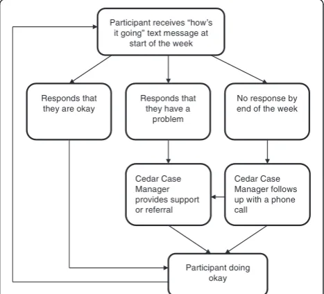 Fig. 2 The Cedar Project WelTel mHealth intervention
