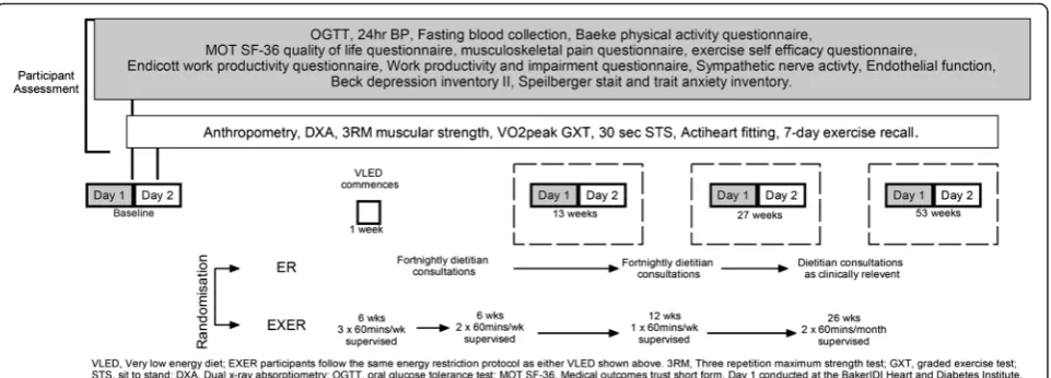 Fig. 1 Trial flow chart outlining participant testing and intervention schedule