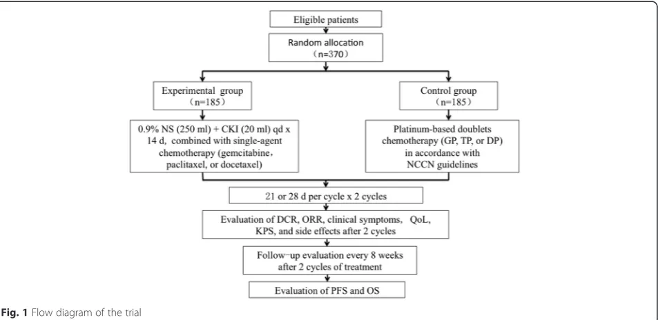 Fig. 1 Flow diagram of the trial