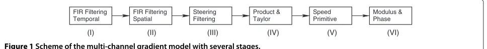 Figure 1 Scheme of the multi-channel gradient model with several stages.