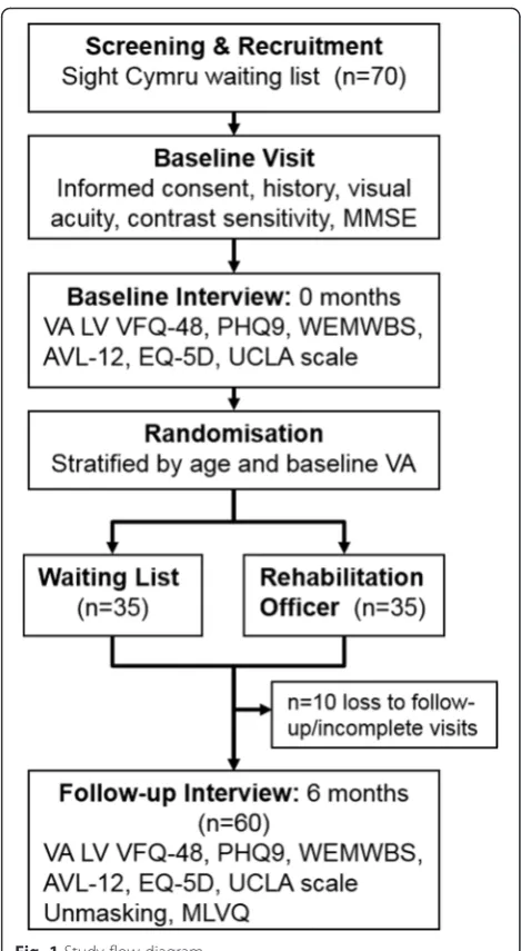 Table 2 List of intervention items recorded by the VisualRehabilitation Officer