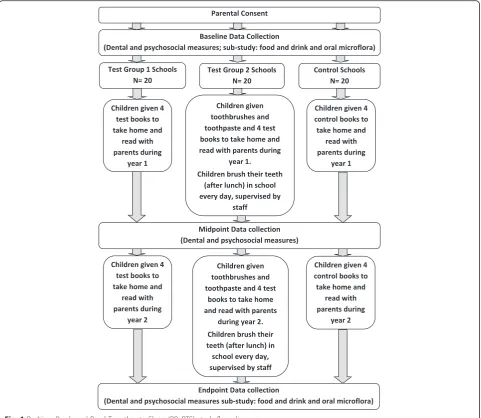 Fig. 1 Bedtime Brush and Read Together to Sleep (BBaRTS) study flow diagram