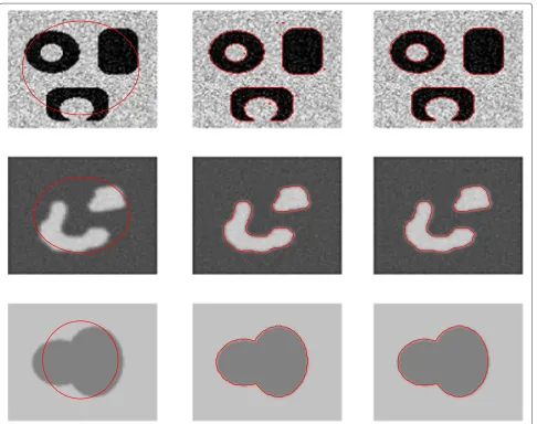 Figure 1 Comparison results for the synthetic images. Column 1, initial contours. Column 2, results of the C-V model