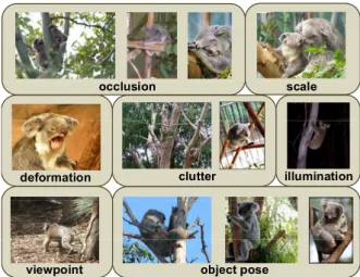Figure 7.1: There are a lot of varieties in which an object can appear on an image, which makes object recognition quite hard