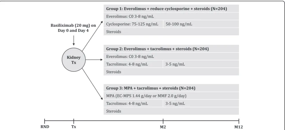 Fig. 1 Study design. Steroid dose will be at least 5 mg prednisolone or equivalent, according to centre practice