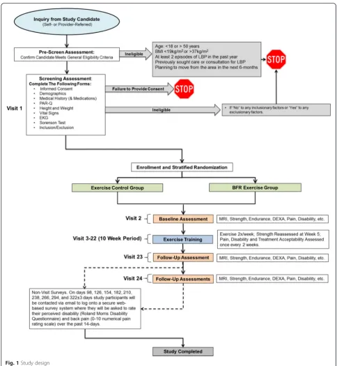 Fig. 1 Study design