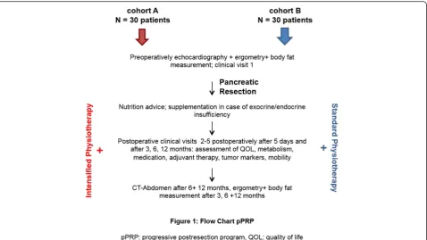 Fig. 1 Flowchart for the progressive postresection program. CT computed tomography, QOL quality of life, pPRP progressive postresection program
