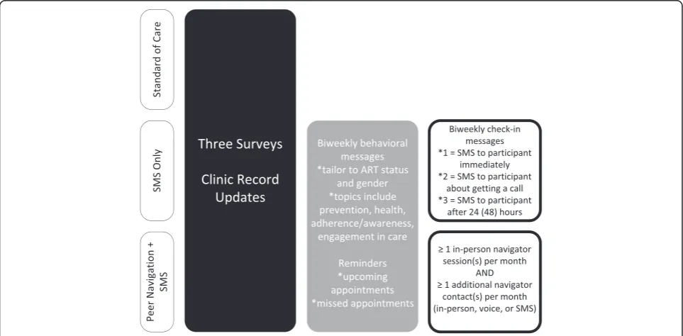 Fig. 2 Map of the principal data collection and intervention activities across three study arms