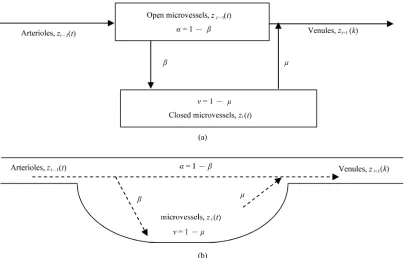Figure 2. Two possible realizations for non-zero elements from main diagonal of A. (a) Schematic for stochastic ex- change between open and closed microvessels; (b) Schematic for the passing of microvessels as a mixing chamber