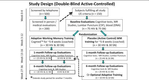 Fig. 1 Study design. We plan to screenseronegative) will follow through and be randomized for the training
