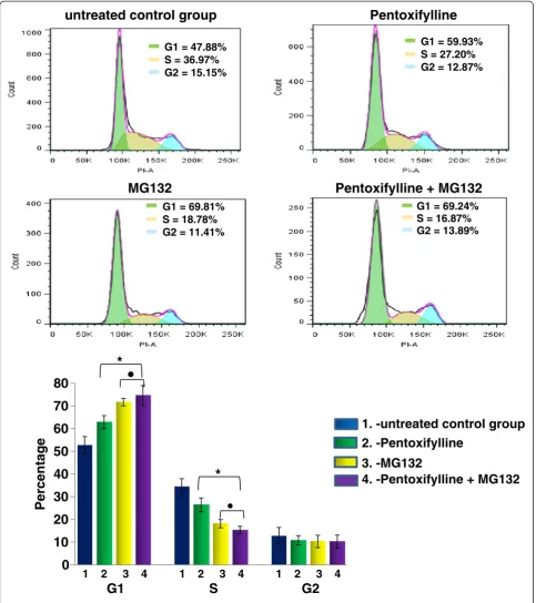 Figure 2 PTX and MG132 modulate the cell cycle in U937 cells.* pMG132, or PTX + MG132 for 24 hours as previously indicated