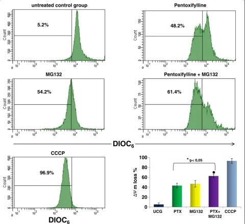 Figure 4 PTX + MG132 induces loss of the mitochondrial membrane potential (ΔΨm). U937 cells were cultured and treated with 8 mM PTX,1 μM MG132, or PTX + MG132