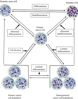 Figure 1. Schematic diagram of cancer initiation and cancer heterogeneity formation. Cell-type-associated chromatin configurations (blue) and rivet protein fastened-sites (red) in different cell types are shown in the diagram