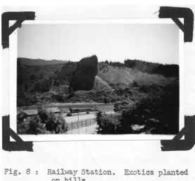 Fig. 7: Mt. Freeth. foreground. 