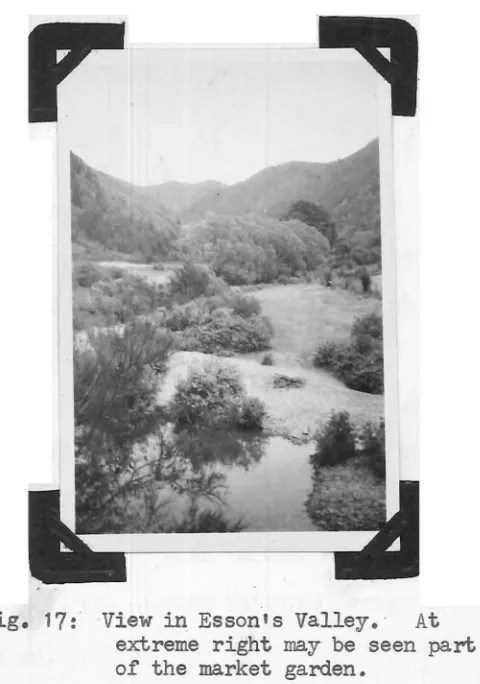Fig. 17: View in Esson•s Valley. · At extreme right may be seen part 