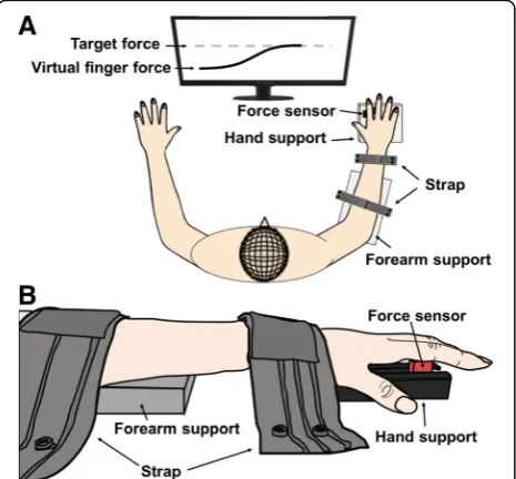 Fig. 1 Experimental setup from top (a) and side views (b)