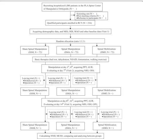 Figure 2 Flow chart of the study.
