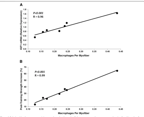 Figure 2 Relationships between pretraining muscle molecular and cellular measures and percent strength gain after 12 weeks ofhigh-intensity progressive resistance training of the thigh muscles for older adults (N = 7, Age 69 ± 6 yrs)