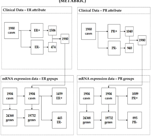 Figure 2: The description of (METABRIC) dataset showing the unification between clin- clin-ical data and mRNA expression data.