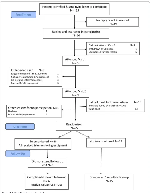 Figure 2 Patient flow through the study.