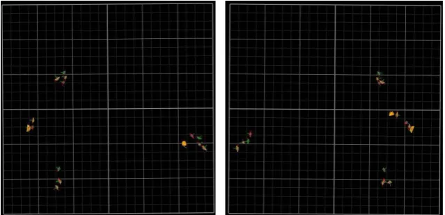 Figure 5. Static trial player positions before & after pass. 