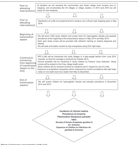 Figure 2 Schematic representation of the trial.