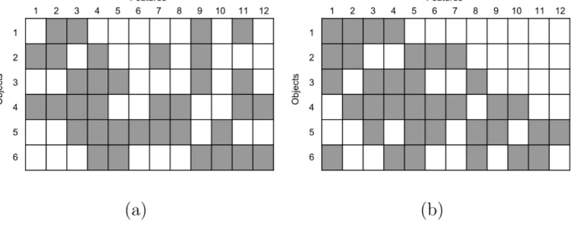 Figure 1.1: An example of binary matrix representation of feature allocation.
