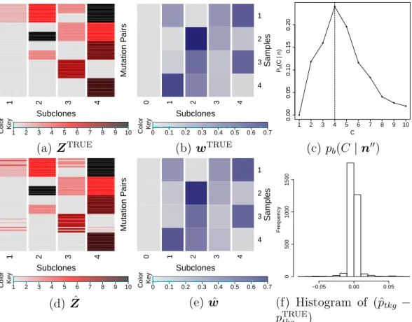 Figure 2.4: Simulation 2. Simulation truth Z TRUE and w TRUE (a, b), and posterior inference under PairClone (c, d, e, f).