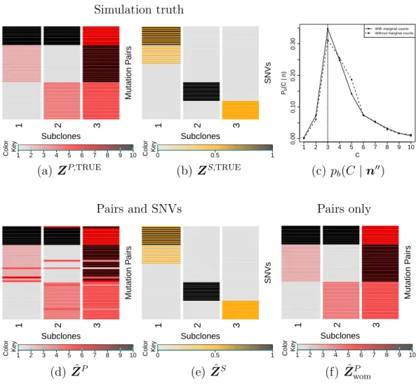 Figure 2.8: Summary of simulation results using additional marginal read counts. Simulation truth Z P,TRUE and Z S,TRUE (a, b), posterior inference with marginal read counts incorporated (c, d, e), and posterior inference without marginal read counts (c, f