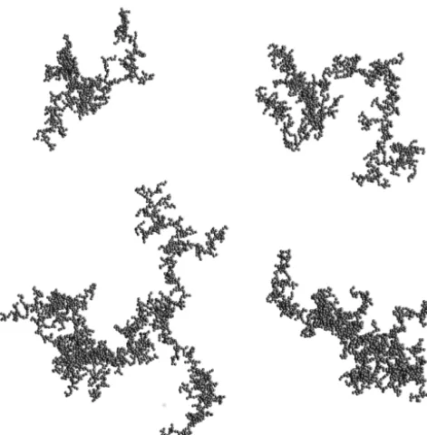 Figure 1. Examples of fractal aggregate model particles for com-puting optical properties of externally mixed black carbon