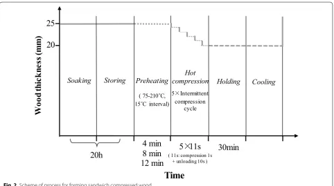 Fig. 2 Scheme of process for forming sandwich compressed wood