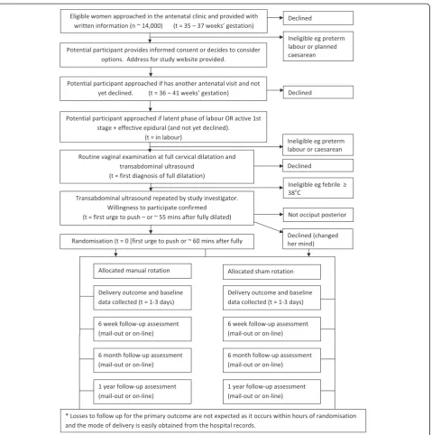 Figure 1 An overview of the conduct of the POP-OUT Trial.
