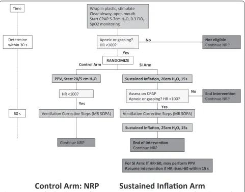Figure 1 Resuscitation algorithm. abbreviations in figure: CPAP, continuous positive airway pressure; FiO2,fraction of inspired oxygen; HR, heartrate; NRP, neonatal resuscitation program; PPV, positive pressure ventilation; SI, sustained inflation; SpO2, oxygen saturation.
