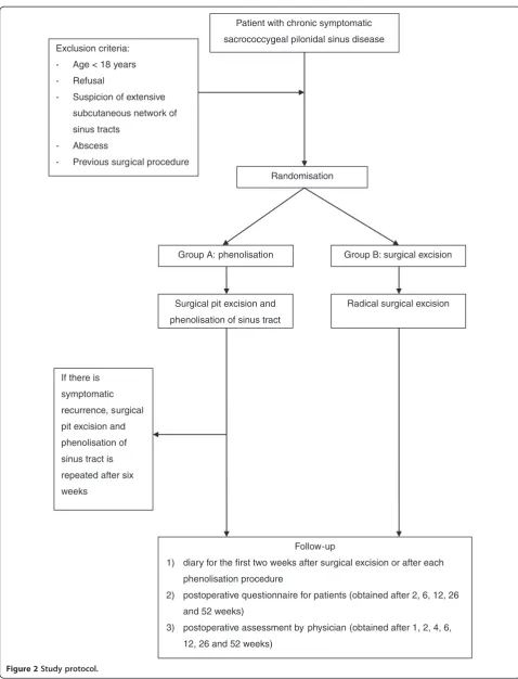 Figure 2 Study protocol.