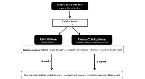 Figure 1 Design of the trial. In this prospective, randomized, open-label, blinded-endpoint trial consecutive patients who have had an acutemyocardial infarction one month previously will be randomized (1:1) to an eight-week outpatient exercise training program or standard of care.The primary endpoint will be the change in lateral E’ velocity between baseline and follow-up.