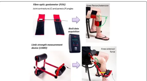 Fig. 1 BioTone™ toolkit for lower-extremity assessment of range of motion and strength