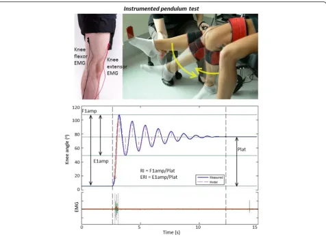 Fig. 2 BioTone™ toolkit for lower-extremity assessment of spasticity using the pendulum test