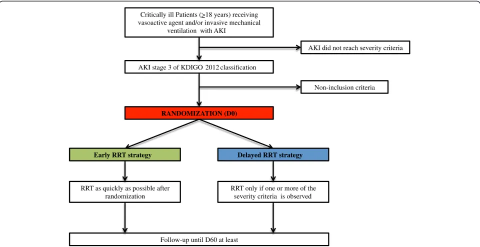 Figure 1 Flow chart of the trial. AKI, Acute kidney injury; D60, day 60; KDIGO, kidney disease: improving global outcome; RRT, renalreplacement therapy.