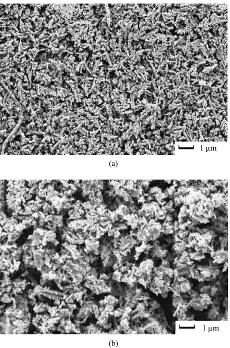 Figure 8. SEM micrographs of electrodeposited copper powder after 20 minutes at 298 K and zero rpm from (a) 30% (v/v) 12-DHP, (b) 40 - 60% (v/v) 12-DHP
