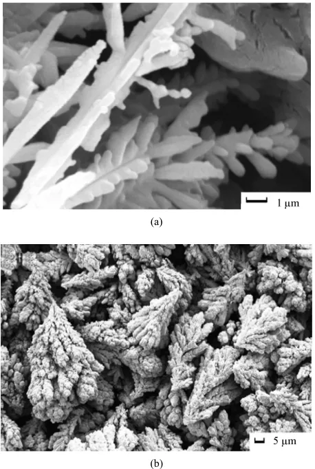 Figure 9. SEM micrographs of electrodeposited copper powder after 20 minutes from 10% (v/v) 12-DHP at 298 K and at (a) 200 rpm, (b) 1000 rpm