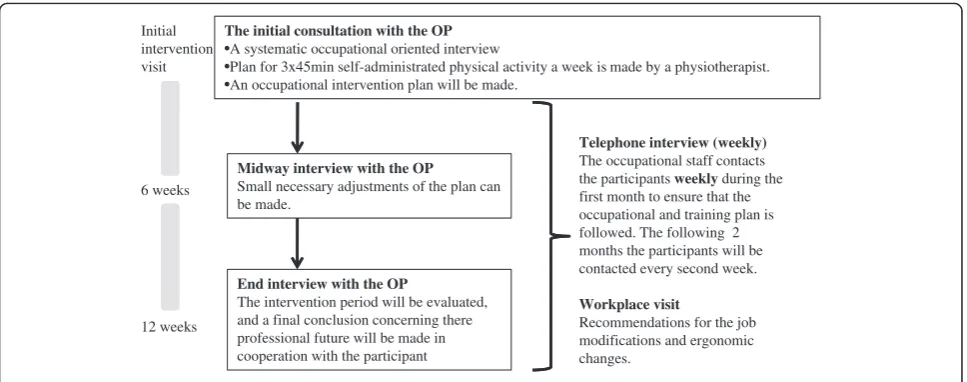 Figure 2 The 12 weeks occupational medicine intervention.