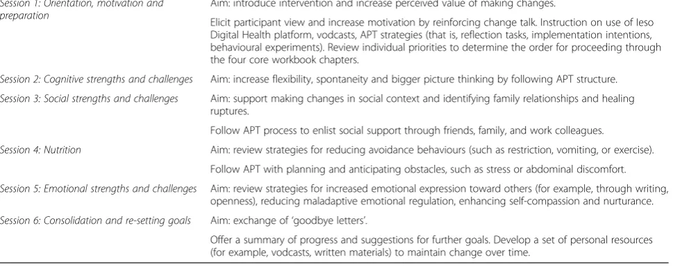 Table 2 Programme of guidance for participants from peer mentors