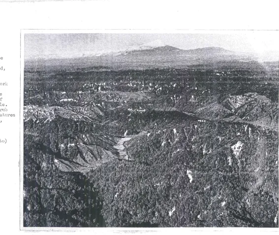 Fig. 1. (:)Jements 