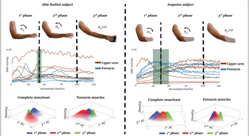 Fig. 2 Representative examples of the EMG activity and the phases of the motion of the able-body subject 4 (left) and the amputee subject TR4and when using only the muscles of the forearm (differences on the EMG activity of the phases