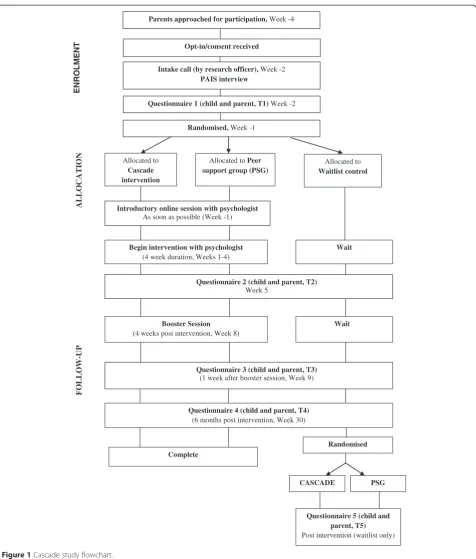 Figure 1 Cascade study flowchart.