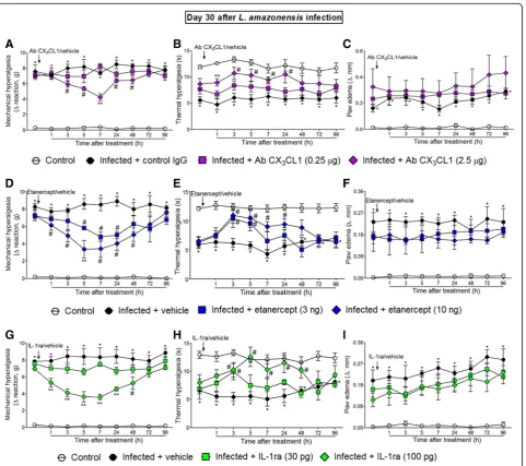 Fig. 2a, b). Antibody (IgG) control treatment presents no