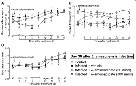 Fig. 5 α-Aminoadipate i.t. treatment inhibits L. amazonensis-induced hyperalgesia, but not paw edema