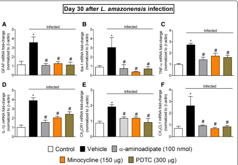Fig. 7 α-Aminoadipate, minocycline, and PDTC i.t. treatments inhibit L. amazonensis-induced spinal cord GFAP, Iba-1, TNF-α, IL-1β, CX3CR1, andCX3CL1 increased mRNA expression